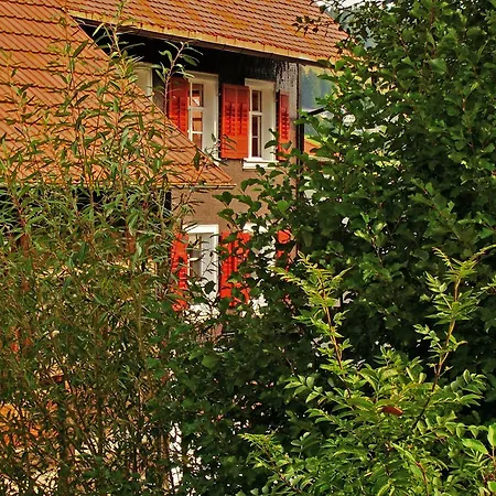 Schwarzwaldbauernhaus