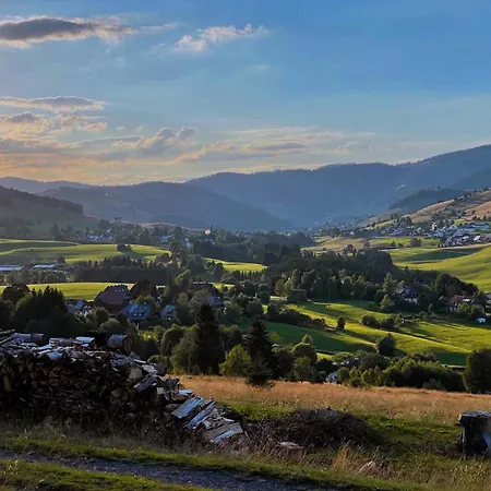 Schwarzwaldbauernhaus Bernau im Schwarzwald